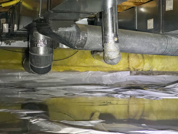 Best Flood damage cleanup  in Stepping Stone, CO