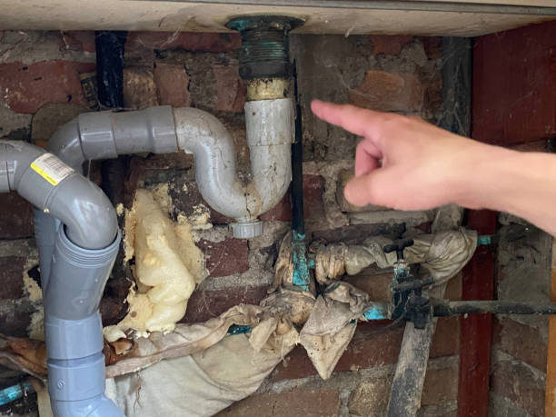 Best Water damage restoration near me  in Stepping Stone, CO
